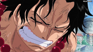 ワンピースアニメ 頂上戦争編 467話 エース Portgas D. Ace | ONE PIECE Episode 467