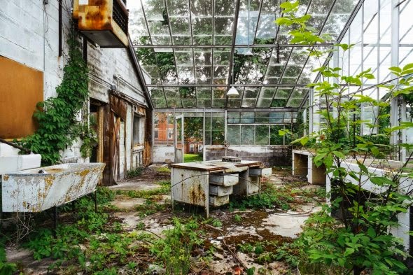 Jeremy Harris fotografia asilos hospitais psiquiátricos abandonados da america solidão claustrofobia tristeza