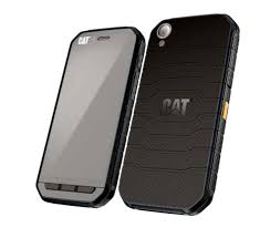 cat-s41