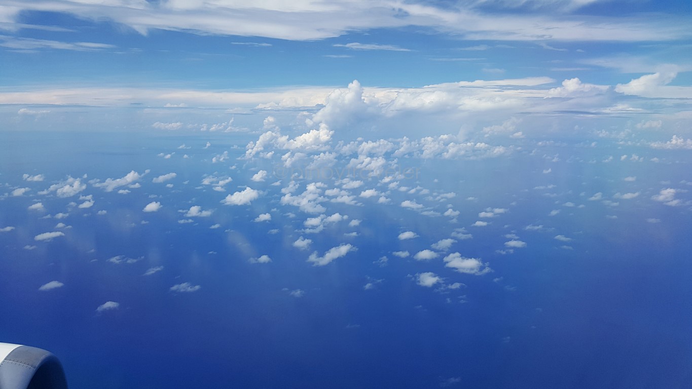 aerial view of tubattaha reef national park, palawan