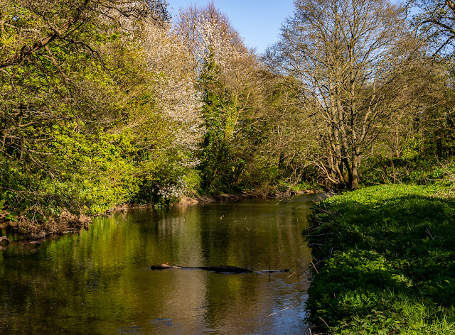 Photo of Crow Park, Maryport