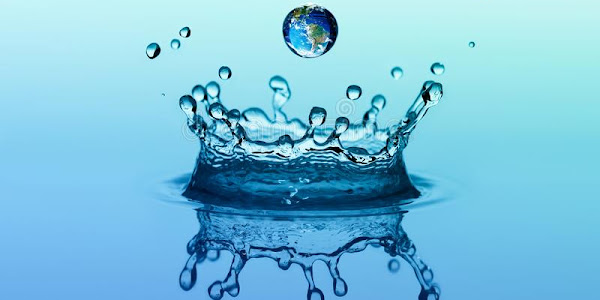 Water Conservation: The Importance of Saving Our Most Precious Resource