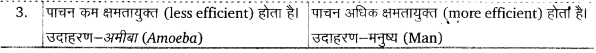 Solutions Class 11 जीव विज्ञान Chapter-4 (प्राणि जगत)