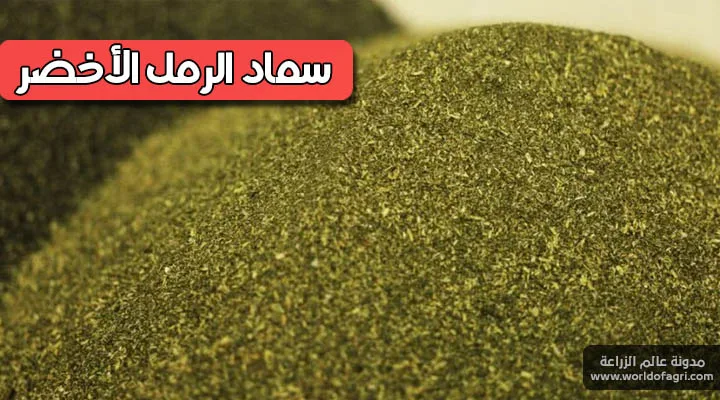 سماد الرمل الأخضر أو التراب الأخضر وفوائده وطريقة استخدامه - عالم الزراعة