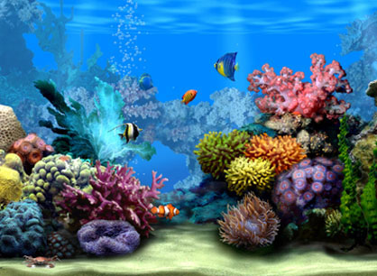 Free Screen Savers on Afterlifecode  Marine Aquarium   Screensaver