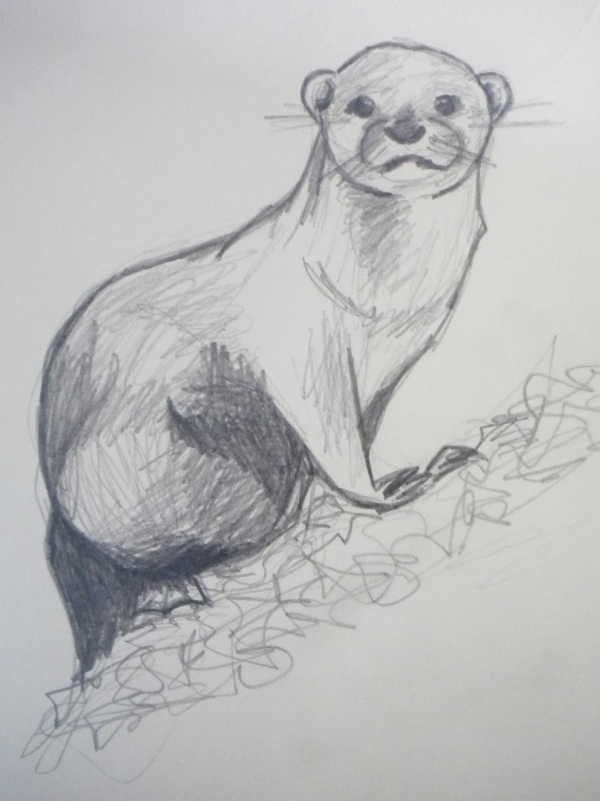 Pointsies: Otter Doodle