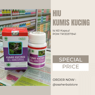 Herbal Kumis Kucing Mengatasi Rematik Gout Kencing Batu Asam Urat Kencing Manis