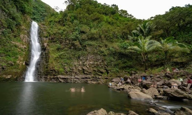 halawa valley