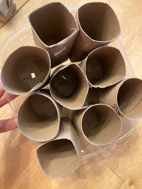 DIY Easy Cardboard Toilet Roll Seedling Pots Starting Seeds Spring Free Kids Craft