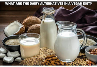 One of the pivotal aspects of adopting a vegan lifestyle involves navigating the world of dairy alternatives, a realm bursting with innovative and delicious options. What are the dairy alternatives in a vegan diet?