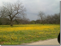 DSCF0014