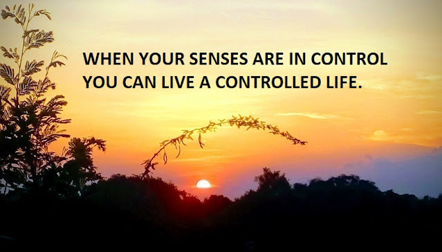 WHEN YOUR SENSES ARE IN CONTROL YOU CAN LIVE A CONTROLLED LIFE.