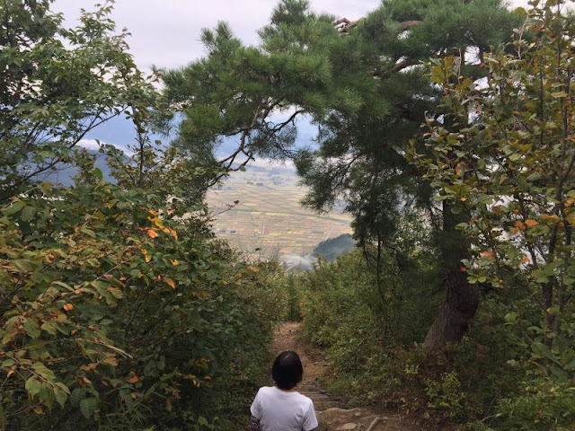 坂戸山の登山道からの眺め