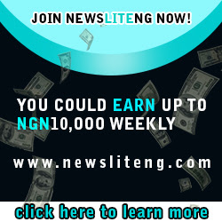  NewsLiteNg Income Program Review