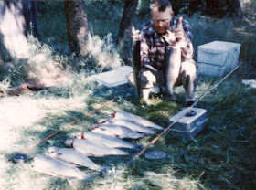 Man kneeling and holding 2 large trout with 7 more in a row on the grass in front of him, on the bank of a wooded Canadian lake in background.