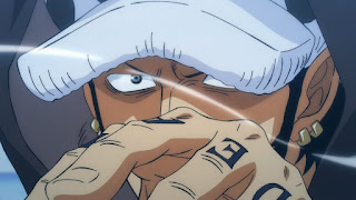 ワンピース アニメ 957話 王下七武海撤廃 トラファルガー・ロー ONE PIECE Episode 957