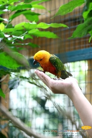 Langkawi Wildlife Park