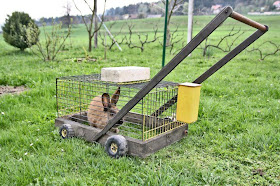 Rabbit Lawnmowr