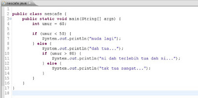 nested if statement in java