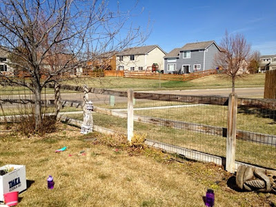 BEFORE: backyard makeover www.thebrighterwriter.blogspot.com