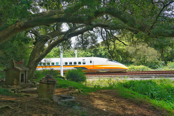 苗栗通霄相思窩百年石板土地公秘境，高鐵列車近距離呼嘯而過