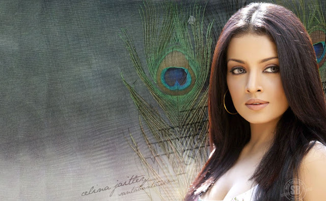 Celina Jaitley wallpapers