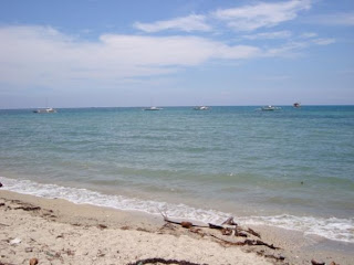 White Sand Beach, Cauayan, Negros Occidental