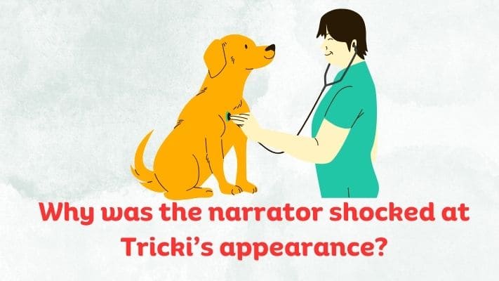 Why was the narrator shocked at Tricki’s appearance