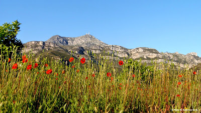 De Xeraco al Mondúver