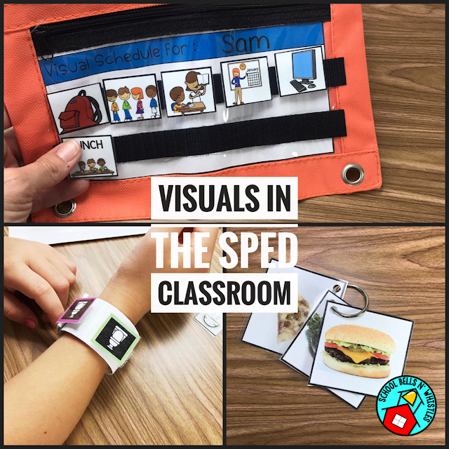 VISUALS IN SPECIAL EDUCATION