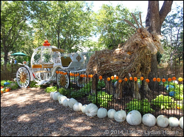 Dallas Arboretum - pumpkin festival-Cinderella's carriage