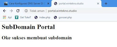 Subdomain Portal Berhasil di konfigurasi