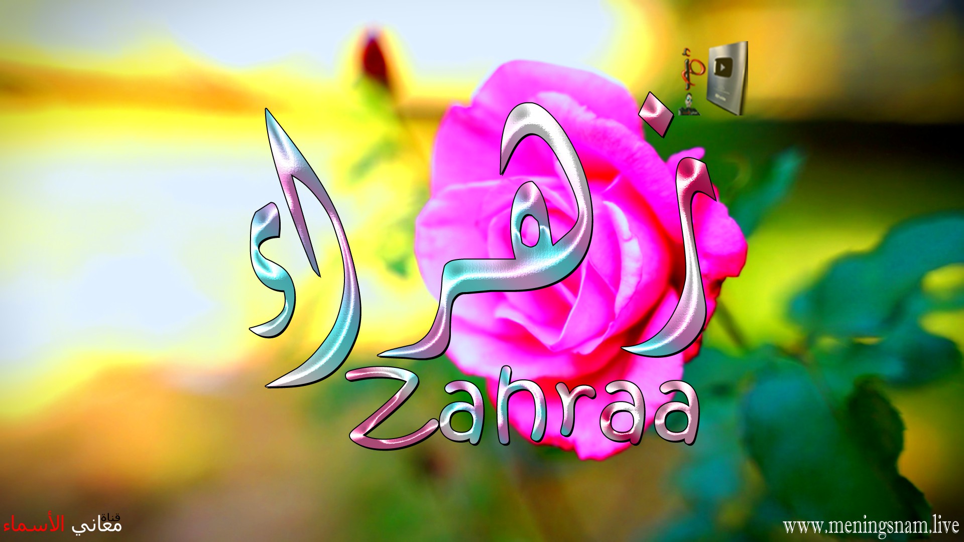 معنى اسم, زهراء, وصفات, حاملة, هذا الاسم, Zahraa,