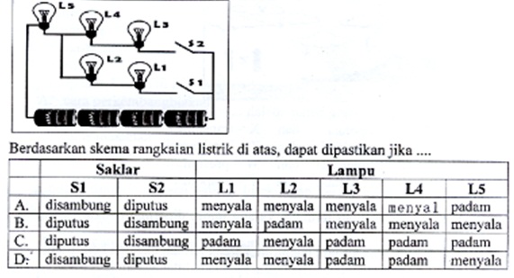 40 Arsip Soal Ujian Sekolah US UN IPA SD dan Kunci Jawaban 