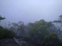 Berowra Waters