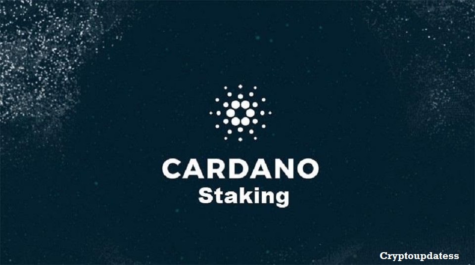 Top 6 Staking Coins with High Rewards in 2023