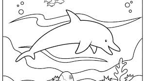 Dolphin On Sea Coloring Pages For Kids