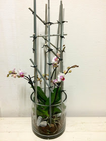 orkide diy