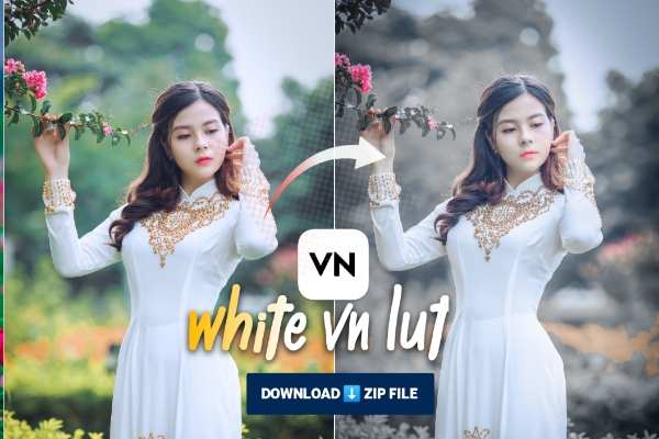 Pure white vn lut filter Download for Make white Tone video in vn app