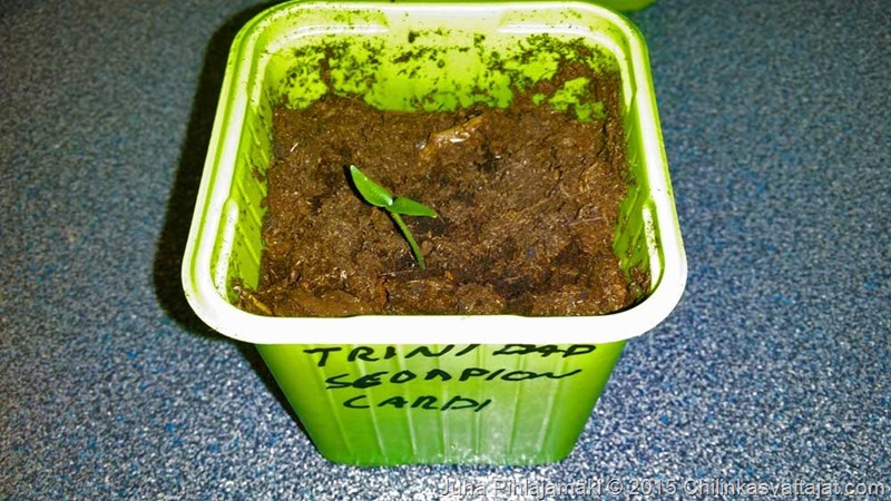 trinidad