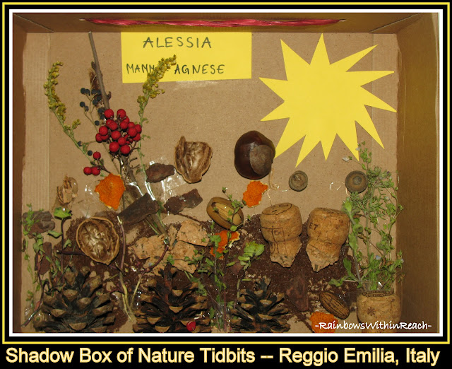 photo of: Reggio Emilia, Italy: Shadow Box of Nature Elements