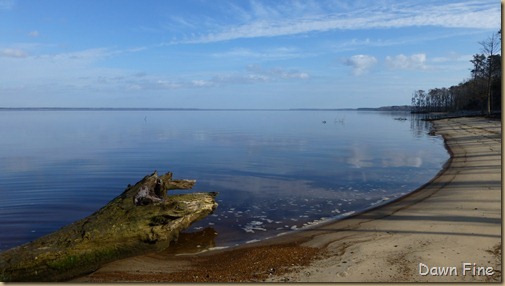 Croatan National Forest_008