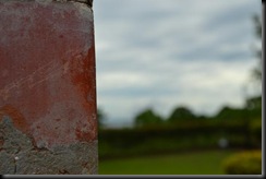 DSC_0977-w