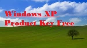 Windows XP Product Key Free