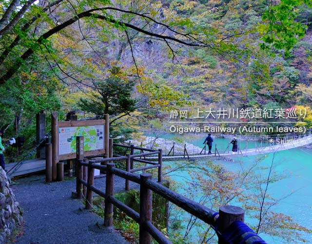 寸又峡と奥大井湖上駅の紅葉を見に行った