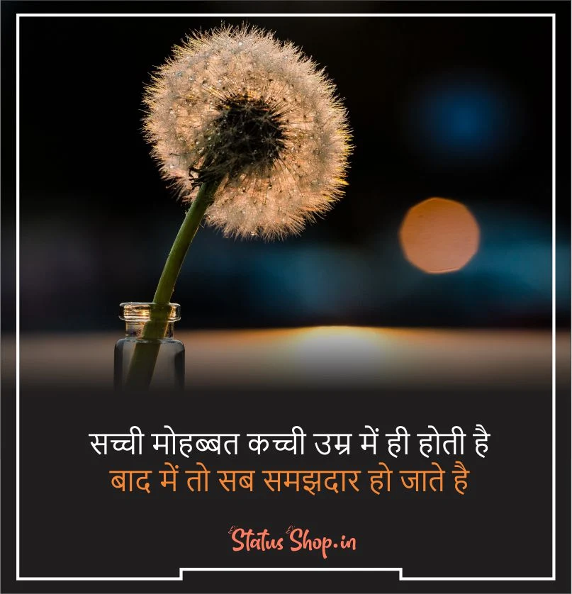 shero shayari in hindi