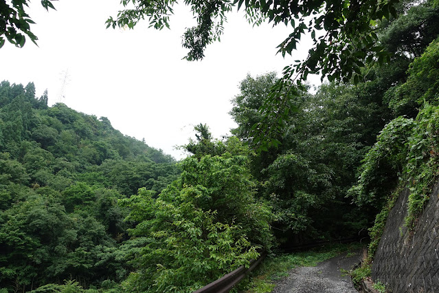 横道を見てみました