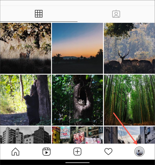قم بزيارة علامة تبويب الملف الشخصي في تطبيق Instagram
