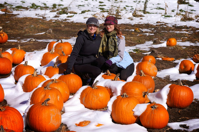 The Virginia Creeper Trail,Pumpkin Patch,Christmas Tree Farm,Biking,National Forest,Snow,yoga,dancers pose,head stand pose.