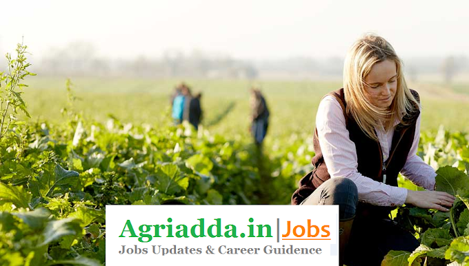 Young Professional- B.Sc. Agriculture Jobs